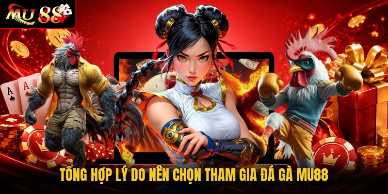 Tổng hợp lý do nên chọn tham gia đá gà MU88